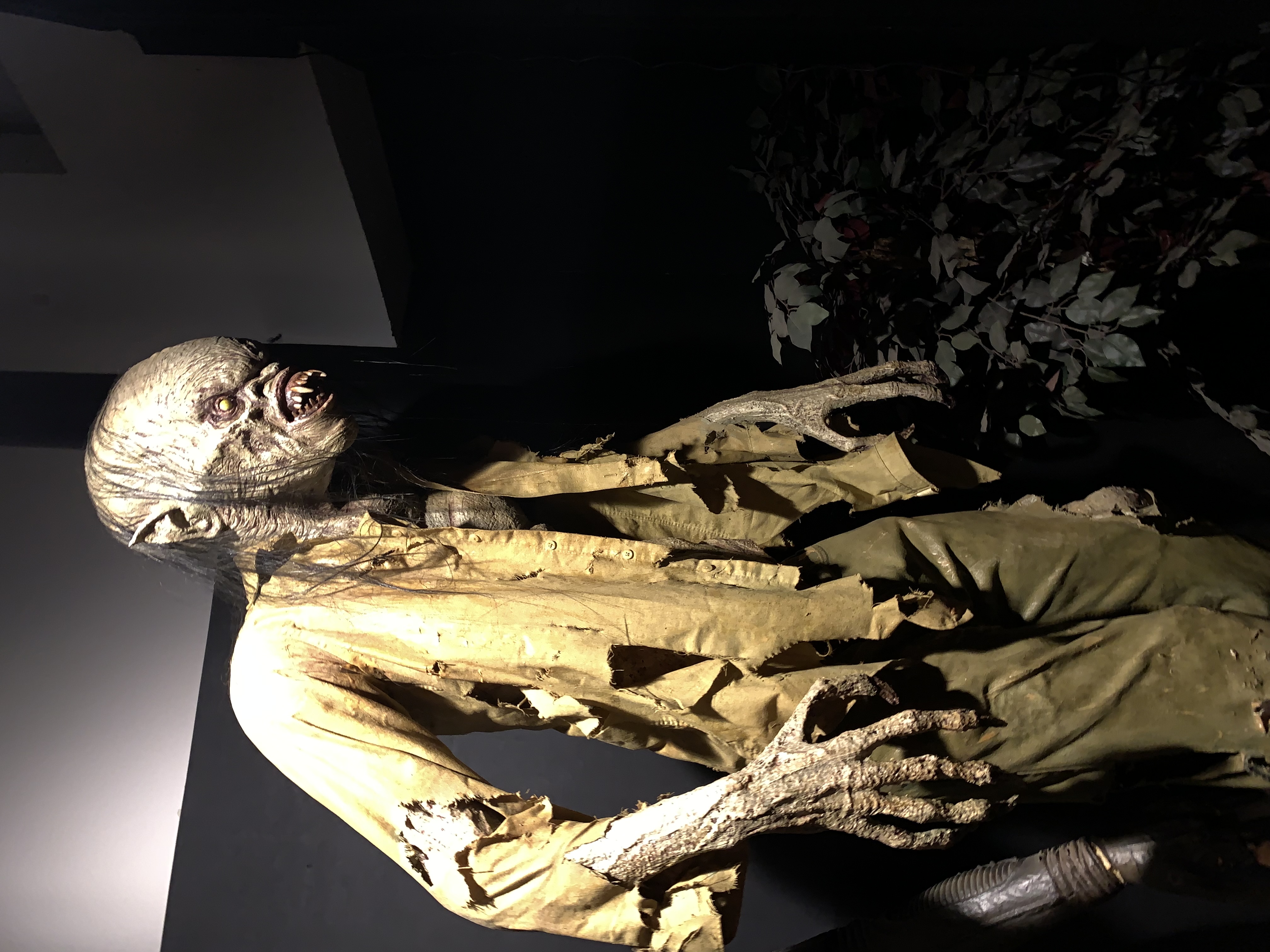 ./2022/06 - St Louis/06 - Day 6/20220526-152749629.JPG